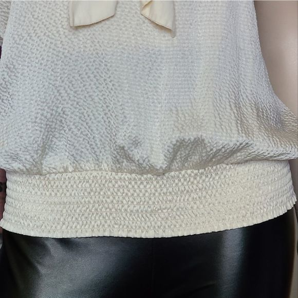 Pleated Front Silk Halter Top - Picture 5 of 6